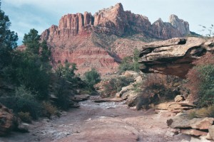 desertprojdesc